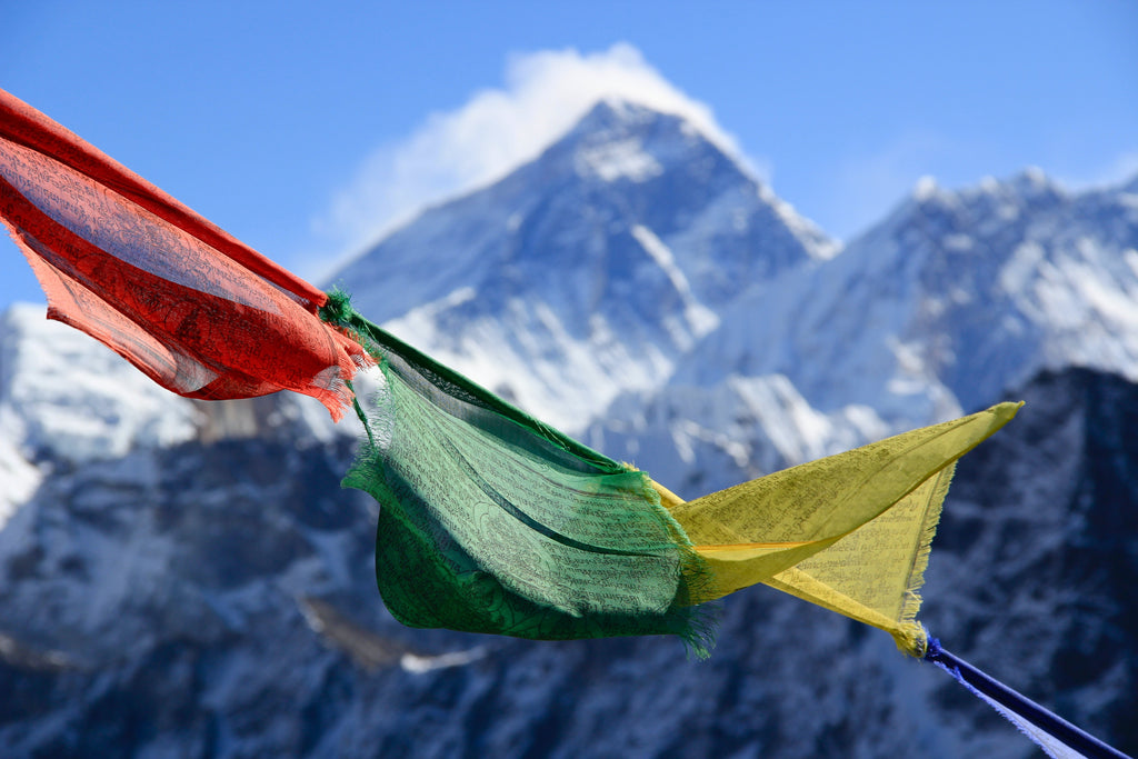 The Story Behind our Nepali Teas